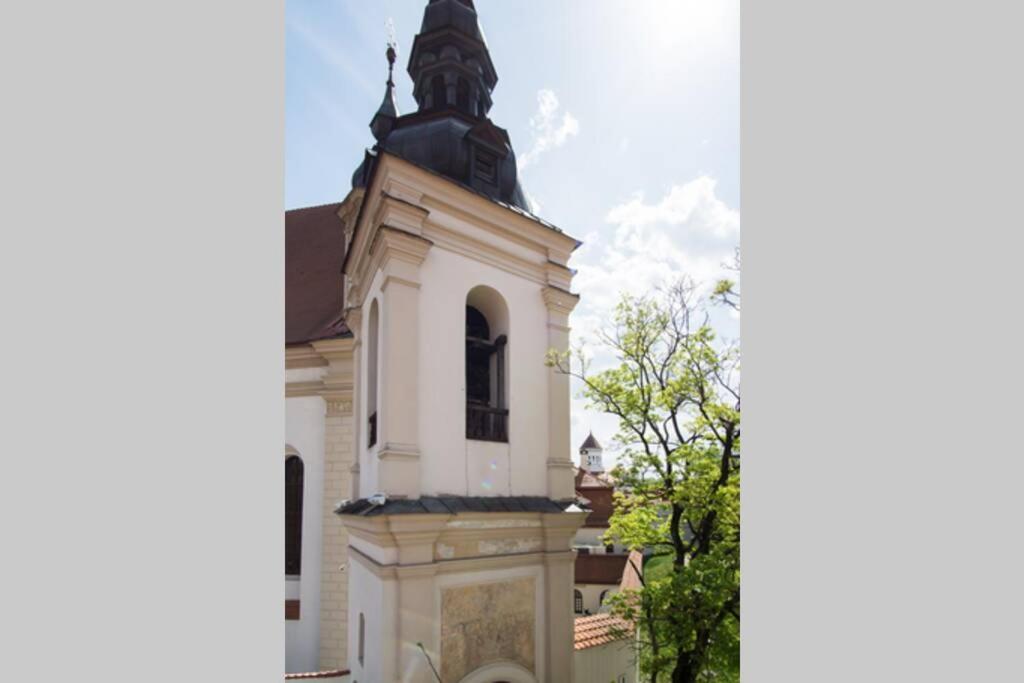 Private Sauna & 4 Bedrooms Old Town Rooftop Apartment VNO Extérieur photo