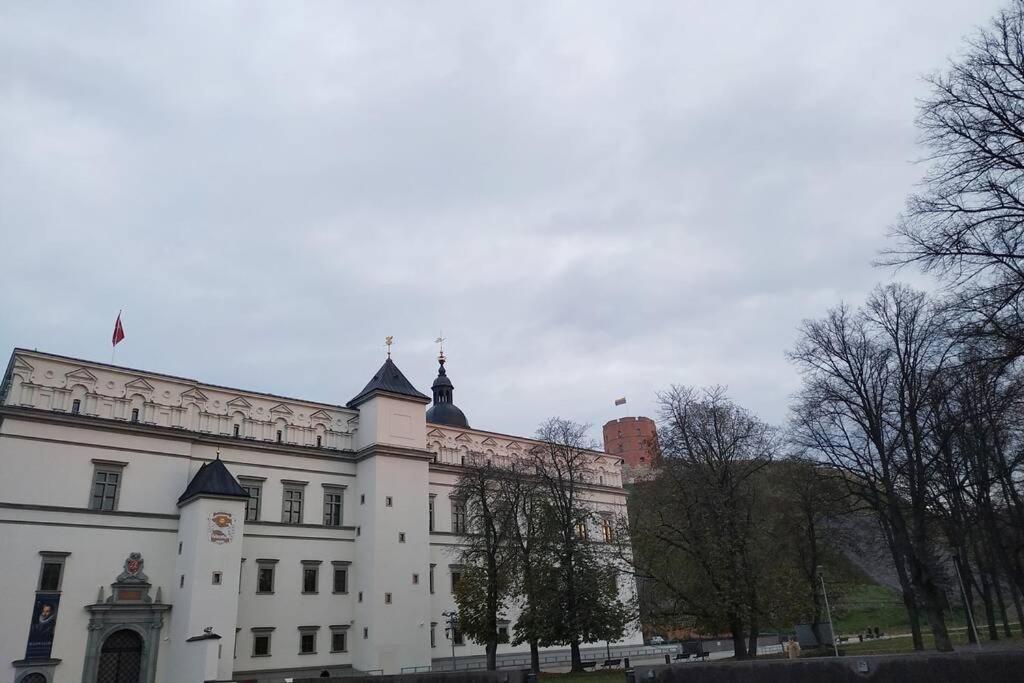 Private Sauna & 4 Bedrooms Old Town Rooftop Apartment VNO Extérieur photo